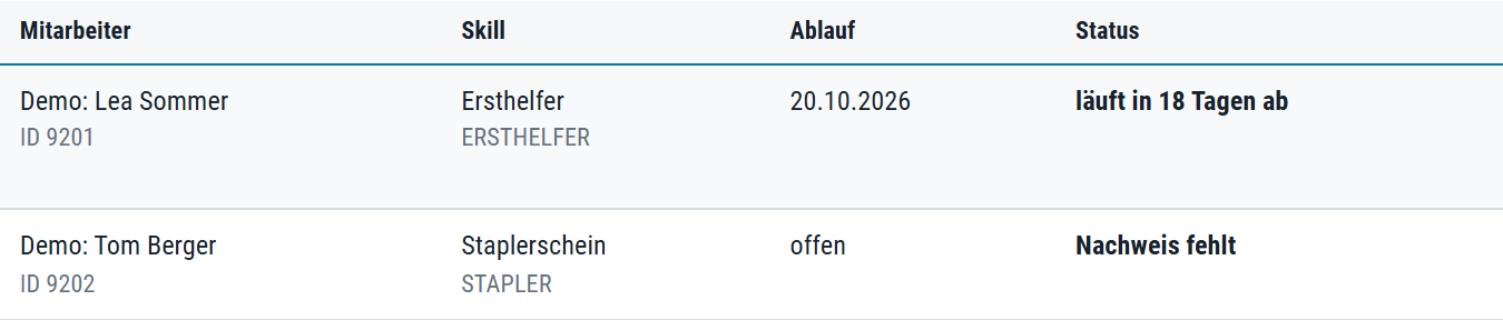 Qualifikationen und Nachweise im Beispielteam